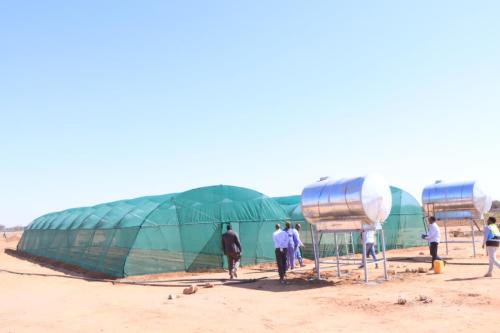 WhatsApp Image 2023-07-25 at 11.32.30 AM (1)