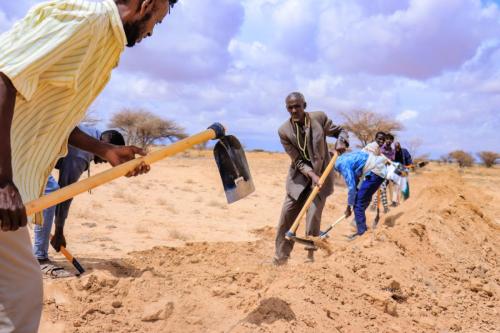 b5c1696d-1c31-4c10-87b6-cd25147d359e